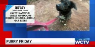 Furry Friday: Meet Betsy
