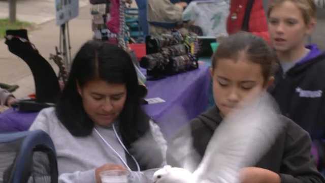 Family Fall Fest celebrates nature at River Bend Park on American River Parkway