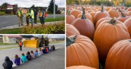 AROUND ALASKA: Sidewalk and Snow Safety, Halloween Fun, and Pumpkin Composting!