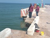 Gestionan la reparación del muelle de pescadores en Chicxulub tras colapso