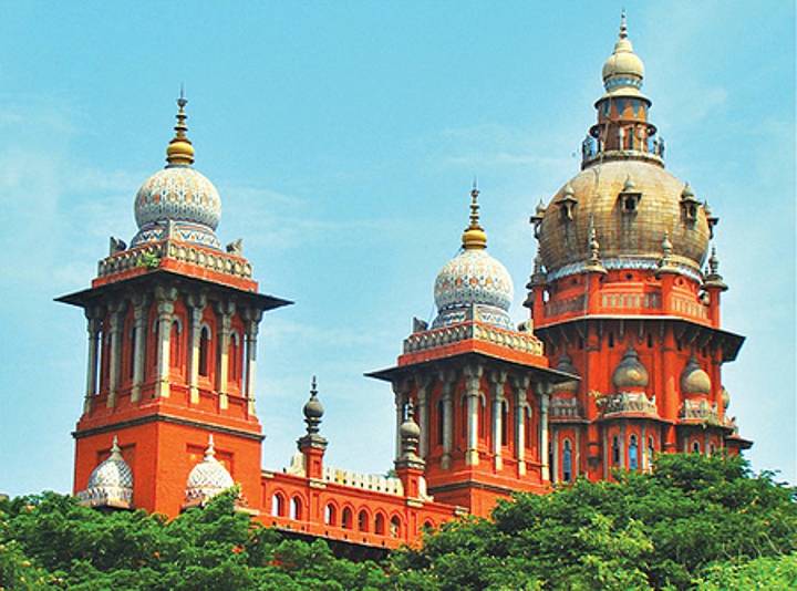 Madras HC constitutes SIT on Karur stampede, says Vijay 'vanished'; slams 'leadership of poor quality'
