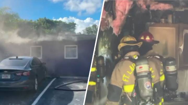 Dog rescued from Fort Lauderdale apartment building fire