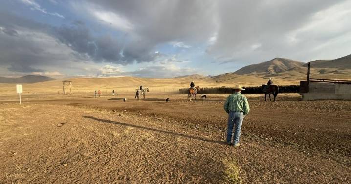Ranchers and conservationists partner to protect central Idaho wildlife habitat
