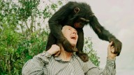 Dr. Jane Goodall, chimpanzee researcher and climate activist, dies at 91