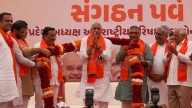 Minister Vishwakarma is new Gujarat BJP chief