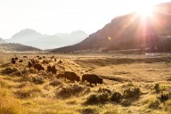 Wyoming’s future depends on courage, optimism and action