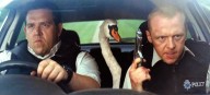 Movies to see this week: 'Hot Fuzz,' Taste the Movies, 'Perfect Blue'