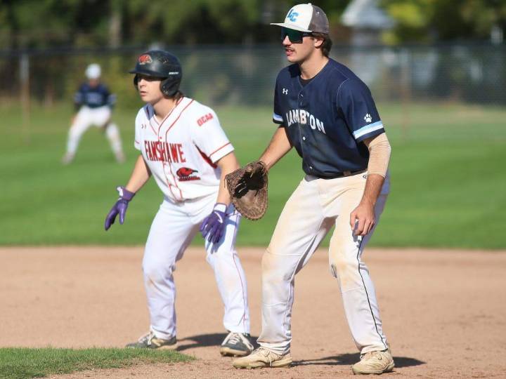 Lambton Lions win OCAA bronze in baseball