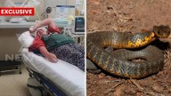 Young girl bitten by tiger snake on SA camping trip told hospital had no anti