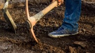 Tramo Amayuca-Jonacatepec será rehabilitado para mejorar conectividad