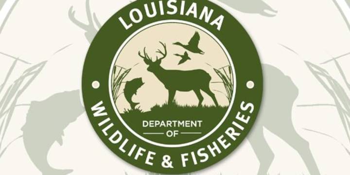 Fort Polk-Vernon, Fort Polk North WMAs closed until further notice