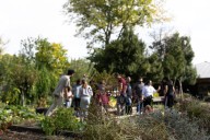 Another Way Film Festival propone actividades que acercan a niños y familias al cine y a la naturaleza