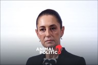 Sheinbaum rechaza retroactividad en reforma a la Ley de Amparo y pide revisión en Diputados