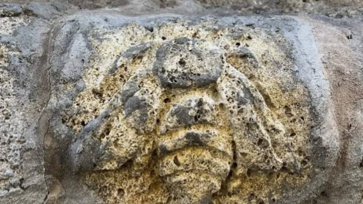 El Pilar amanece con una abeja esculpida en su fachada: el misterio que nadie se explica