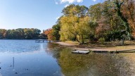 Southold mulls changes to wetland regulations, sparks debate