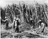 Makana Eyre: The Big Five's Blueprint For Hawaiʻi Still Shrouds The Islands