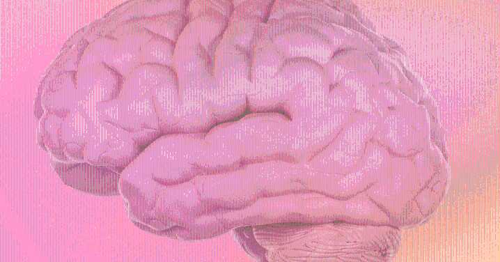 What Menopause Does to the Brain