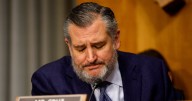 Ted Cruz Says ‘Let’s Stop Attacking Pedophiles’ in Awkward Gaffe