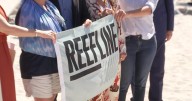 "Concrete Coral" turns South Florida's coast into living art, REEFLINE launches bold underwater project to restore reefs