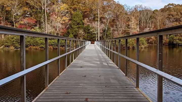 Entre Memphis y Nashville se encuentra el parque estatal de Tennessee con una playa para nadar, senderos panorámicos y cabañas