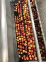 Yakima County Gets Funding for Manzana Apple Facility