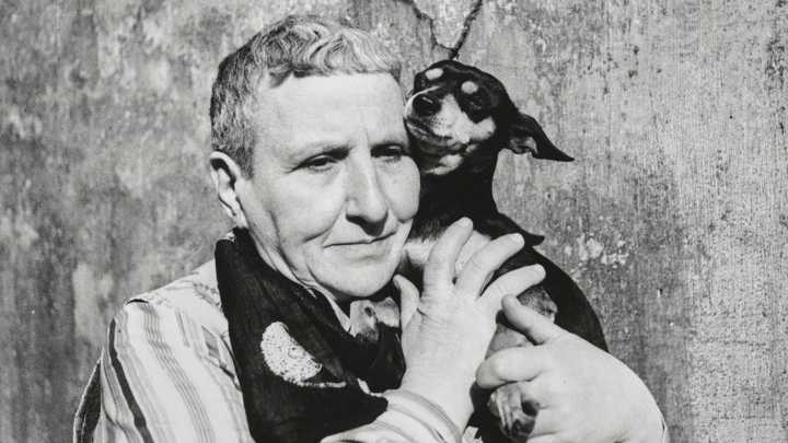 Book reviews: ‘Gertrude Stein: An Afterlife’ and ‘Make Me Commissioner: I Know What’s Wrong With Baseball and How to Fix It’