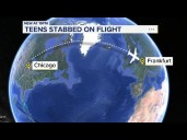 Man charged with allegedly stabbing 2 teens with fork on flight from Chicago to Germany, DOJ says