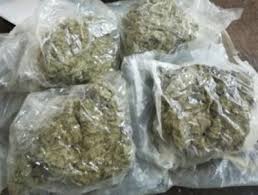 1,014 kg ganja from Odisha seized in Raj
