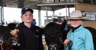 Upper Hunter Beef Bonanza: youth shine in cattle show