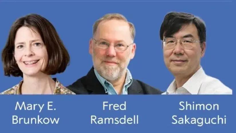 Brunkow, Ramsdell y Sakaguchi ganan el Premio Nobel de Medicina por la tolerancia inmunológica periférica