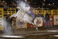 Rodeo Saltillo 2025: música, vino y tradición en la capital del norte