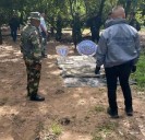Operativo en la carretera Puerto Páez-Caicara desbarata estructura criminal de drogas