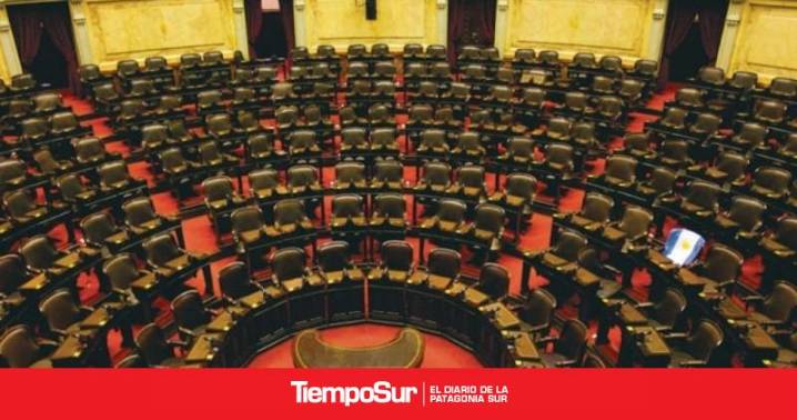 Cámara baja Estos son los diputados que fueron electos y asumirán en diciembre