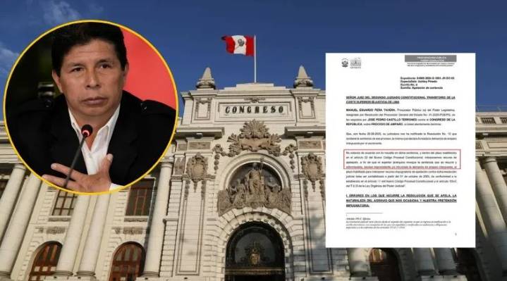 Congreso apela pensión vitalicia para Castillo