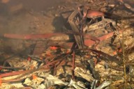 Explosión en planta de explosivos deja 19 desaparecidos