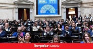 Mapa de provincias Diputados en juego: cuánto arriesgan el peronismo, PRO y Milei