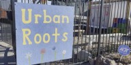 Urban Roots is hosting its first-ever adult cooking class