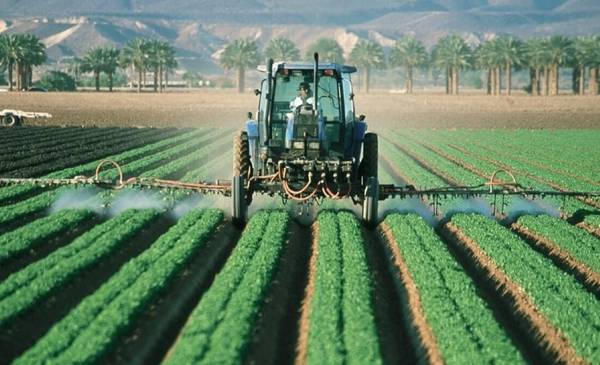 Agroindustria y pymes: La Rioja expuso su experiencia en el Senado