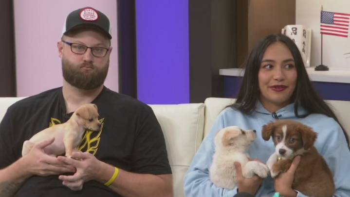 'Tricks for Treats' adoption event to take place at Dirty Birds