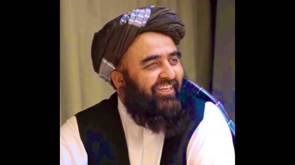 'Won't Allow Any Group To Use Our Territory Against...': Afghanistan Hails India As Close Friend