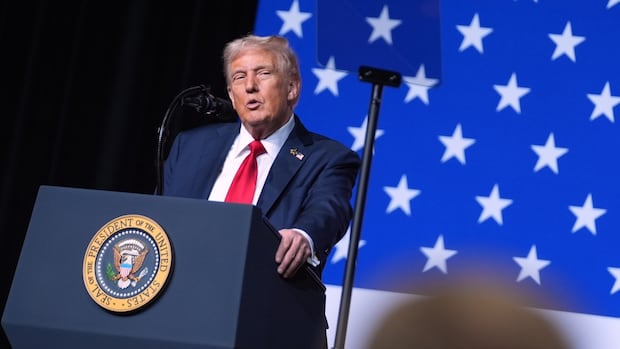 Trump suggests using some American cities as military 'training ground'