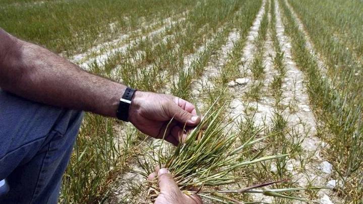 El PSOE dice que el regadíos de Tierra de Barros "era técnicamente viable" y el PP le reprocha haber dejado a las familias "a un paso de la ruina"