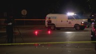 Pedestrian killed in south St. Louis hit