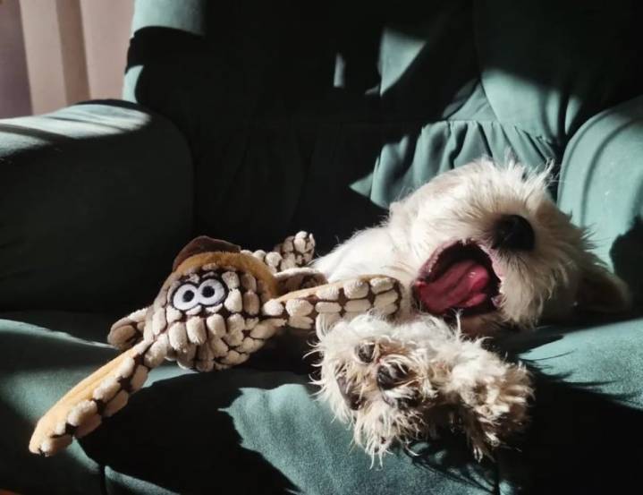 K-dramas: historias exageradas que nos abrazan cálidamente