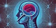 A qué edad el cerebro alcanza su máximo rendimiento, según científicos