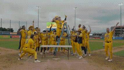 Banana Ball coming to Memphis in 2026