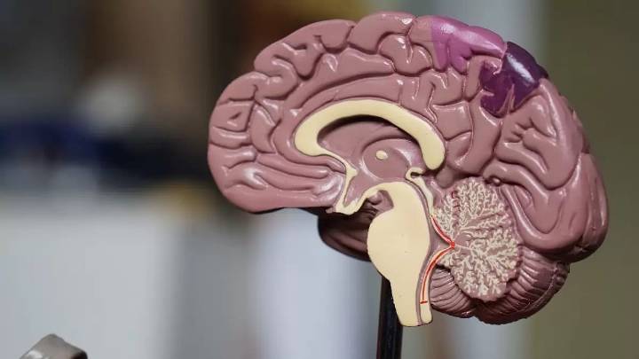 Poor Sleep And Heart Issues May Hinder Brain Waste Clearance, Raising Dementia Risk: Study