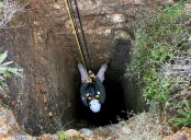 Zacatecas: buscan a desaparecidos en tiros de minas; usan cámaras especiales