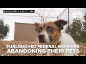 Rising pet surrenders reveal deepening impact of government shutdown in Montgomery County