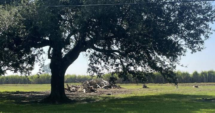 Historic sharecropper cabins torn down in Ascension Parish